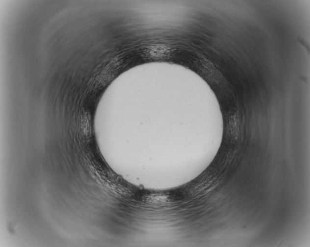 X0000100320651200806261227