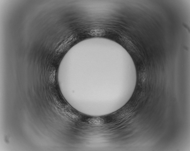 X0000100320652200806261227