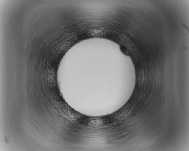 X0000100320653200806261227