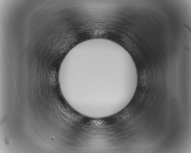 X0000100320654200806261227