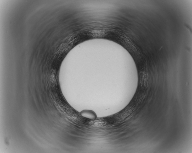 X0000100320655200806261227