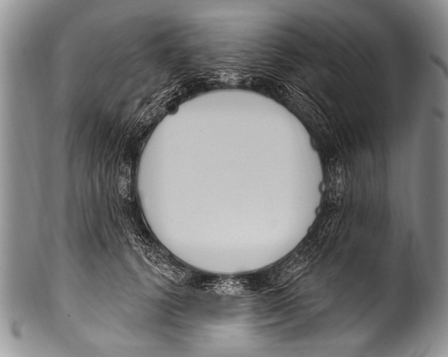 X0000100320656200806261227