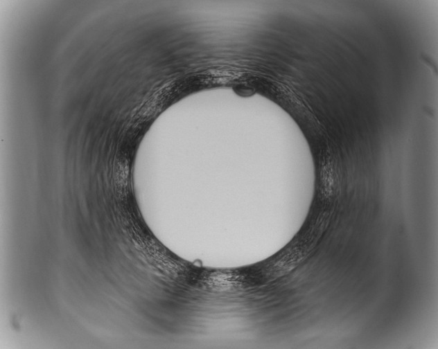 X0000100320657200806261227