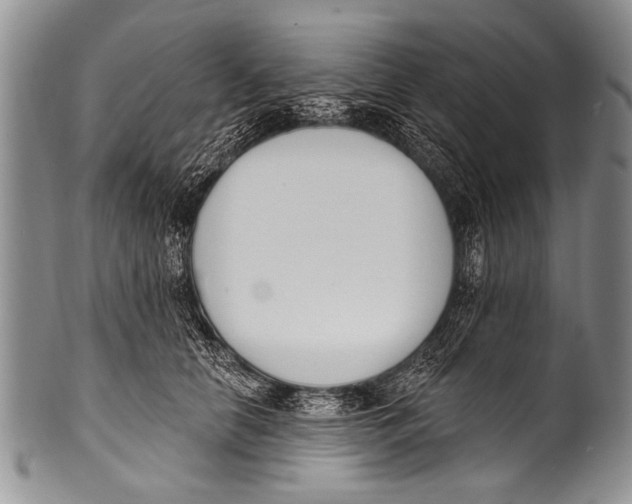 X0000100320658200806261227