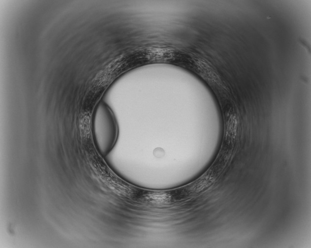 X0000100320659200806261227