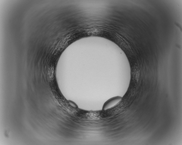 X0000100320660200806261227