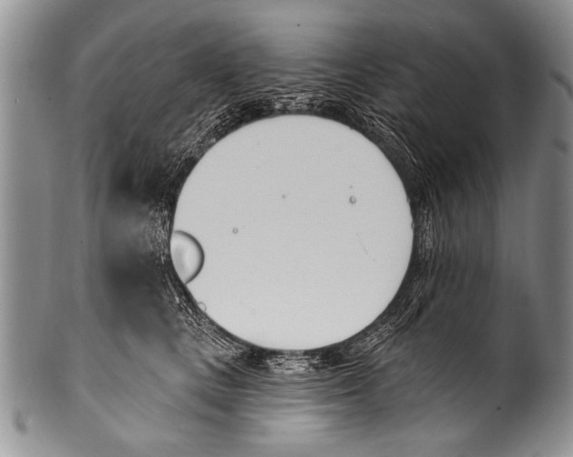 X0000100320661200806261227