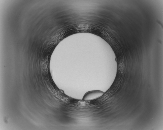 X0000100320662200806261227