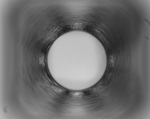 X0000100320663200806261227