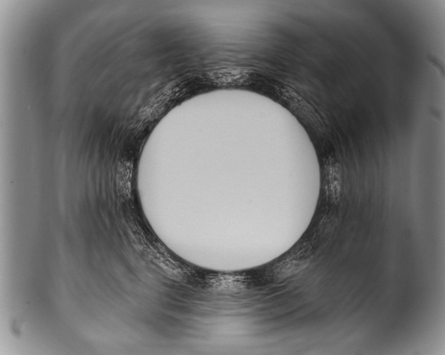 X0000100320664200806261227