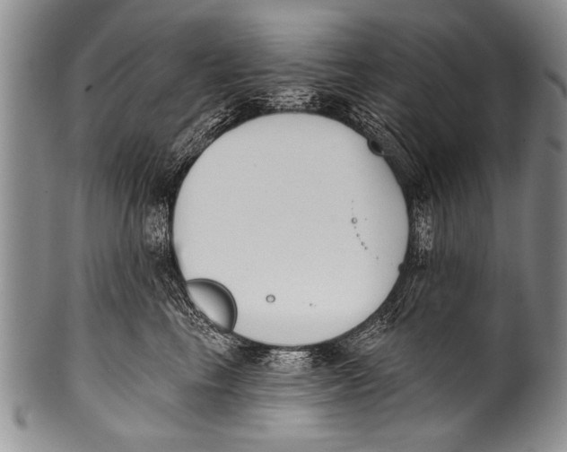 X0000100320665200806261227