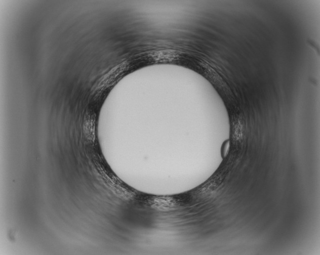 X0000100320666200806261227