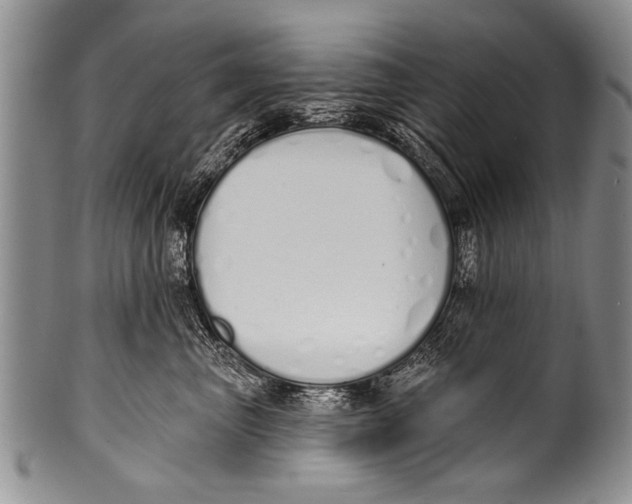 X0000100320667200806261227