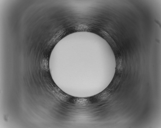 X0000100320669200806261228