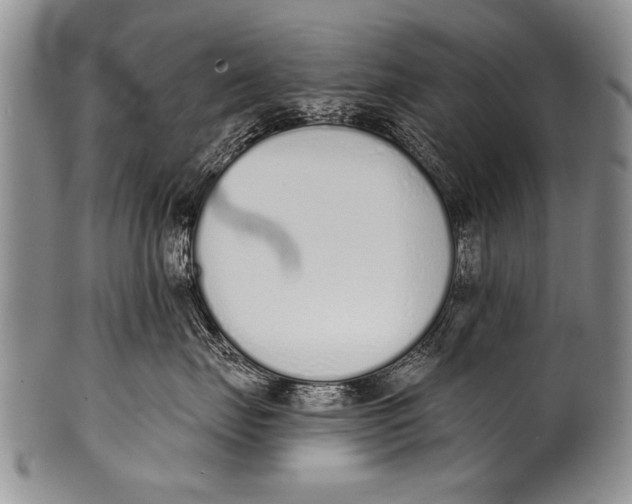 X0000100320671200806261228