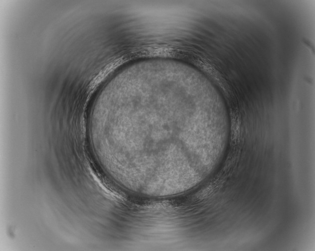 X0000100320674200806261227