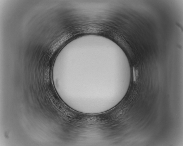 X0000100320675200806261227