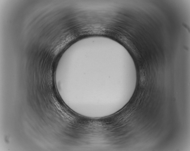 X0000100320677200806261227