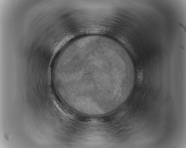 X0000100320678200806261227