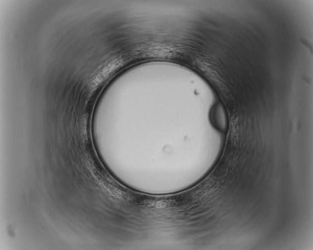 X0000100320679200806261227