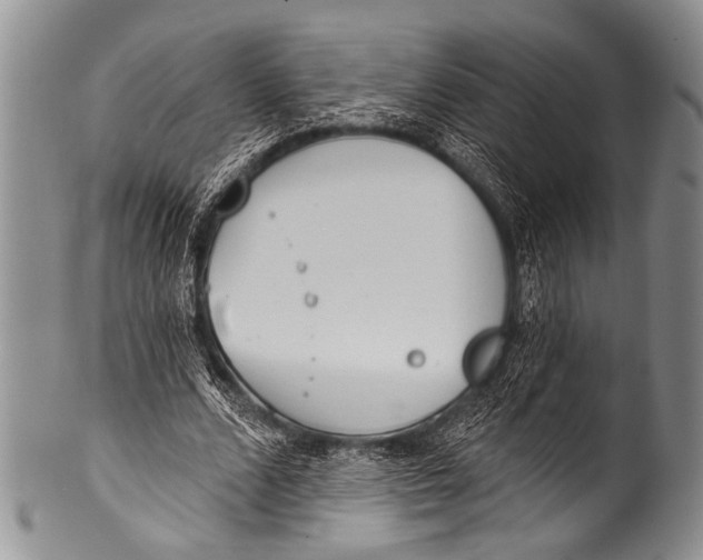 X0000100320680200806261227