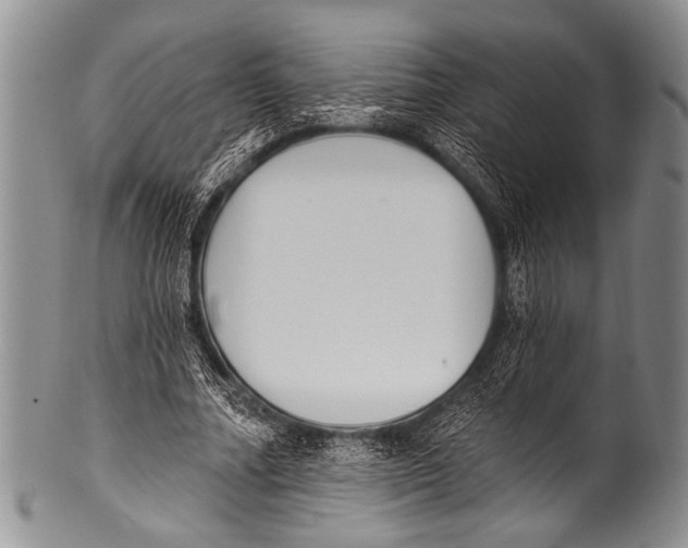 X0000100320682200806261227