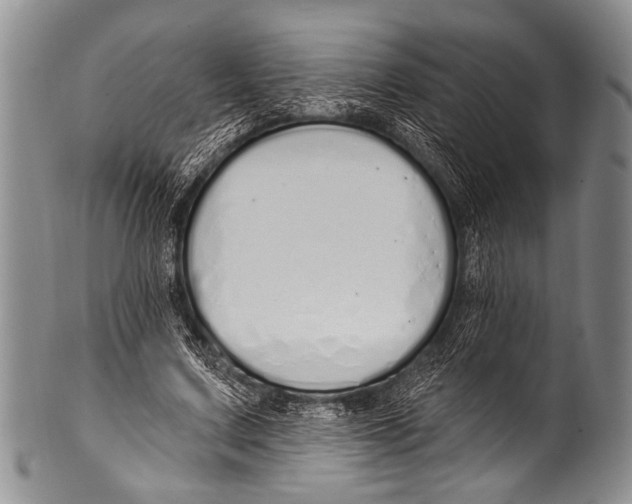 X0000100320683200806261227