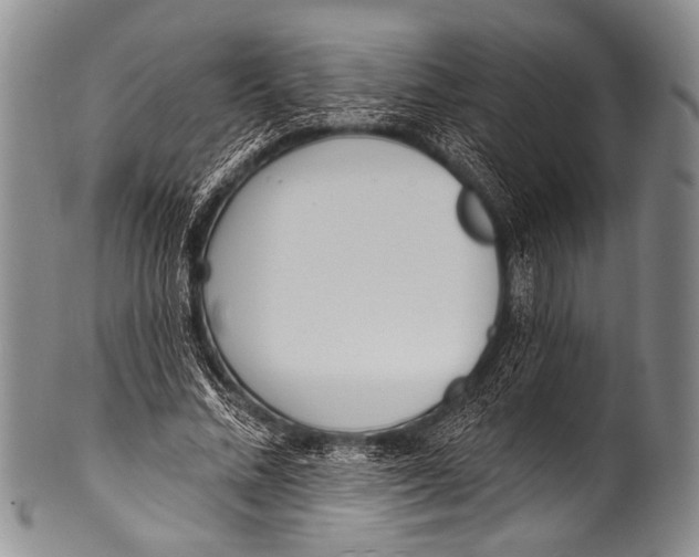 X0000100320684200806261227