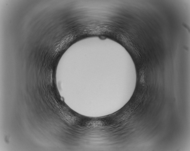 X0000100320685200806261227