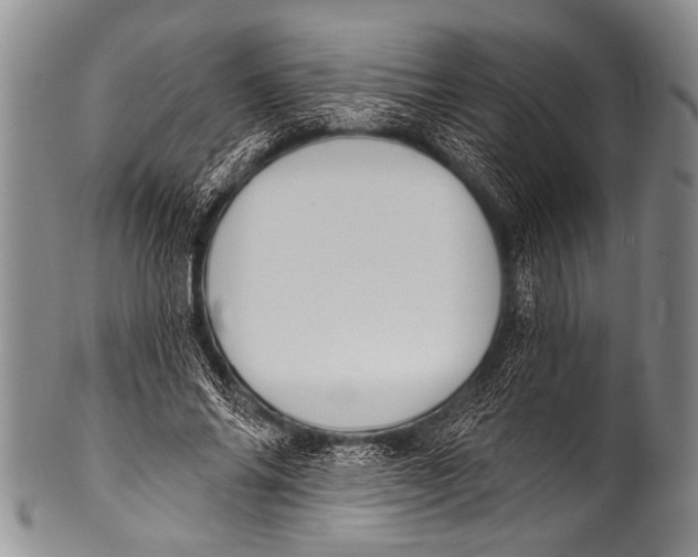 X0000100320686200806261227