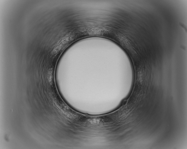 X0000100320687200806261227