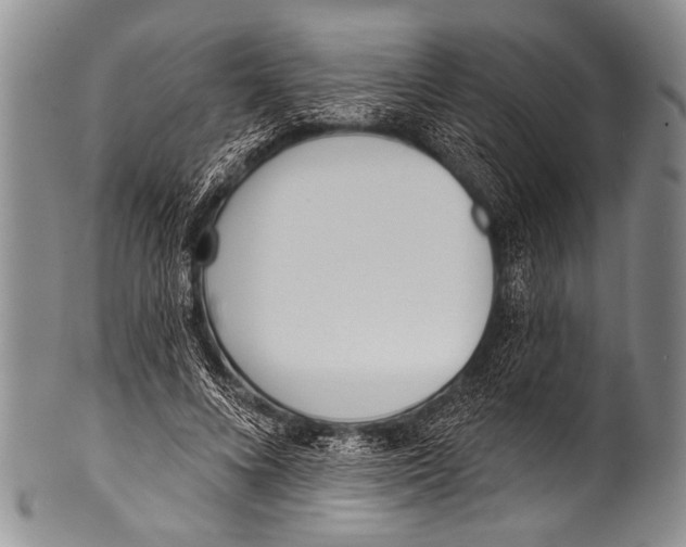 X0000100320688200806261227