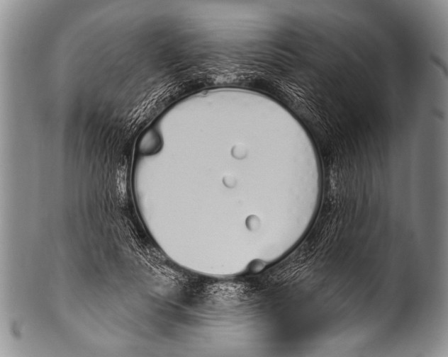 X0000100320691200806261227