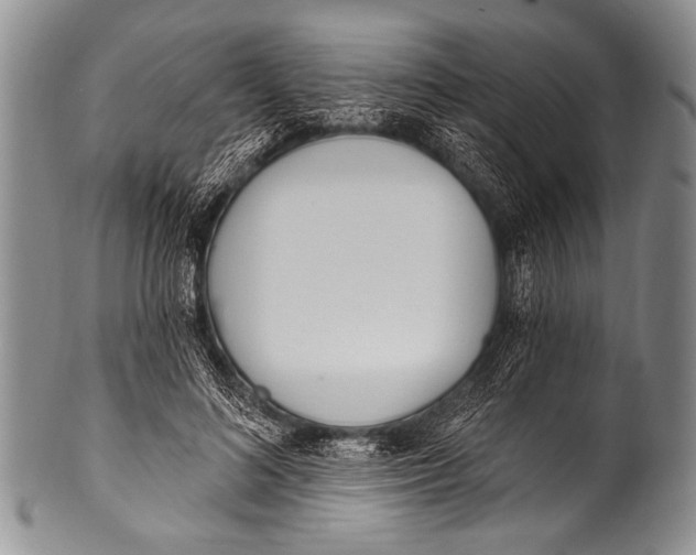 X0000100320692200806261227