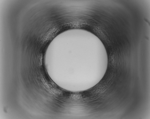 X0000100320694200806261227