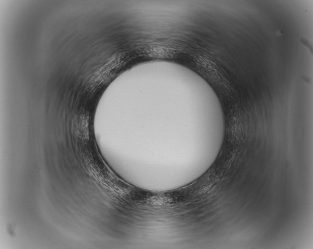 X0000100320696200806261227