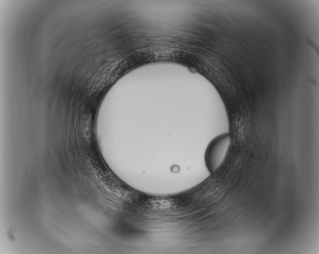 X0000100320698200806261226