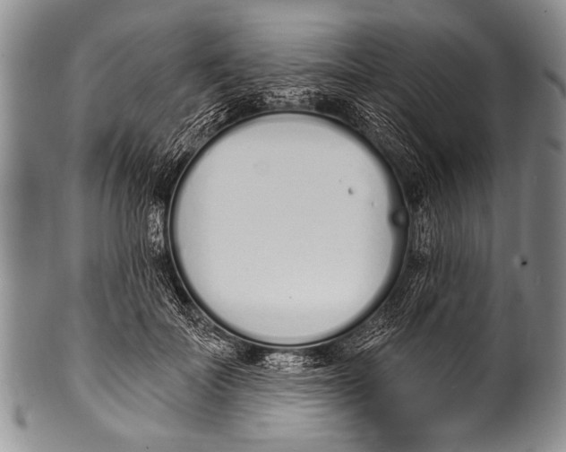 X0000100320699200806261226