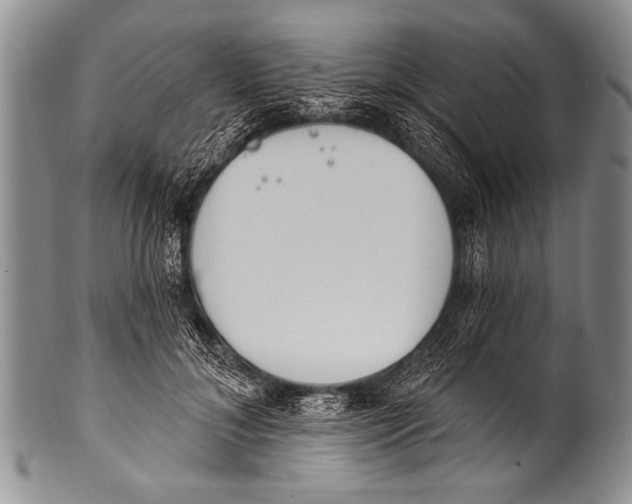 X0000100320700200806261226