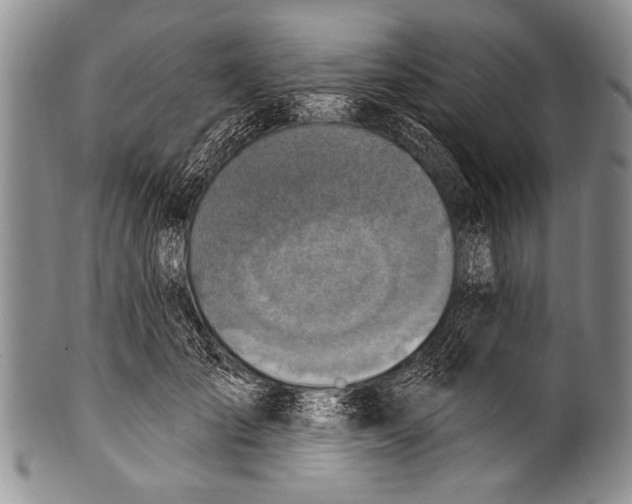 X0000100320701200806261226