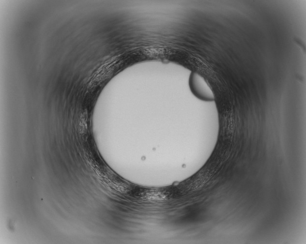 X0000100320702200806261226