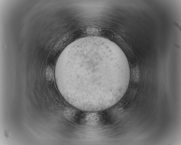 X0000100320705200806261226