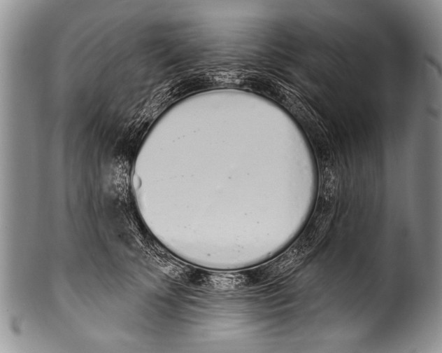 X0000100320707200806261226