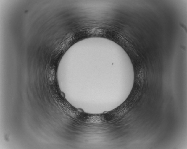 X0000100320708200806261226