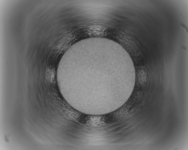 X0000100320709200806261226