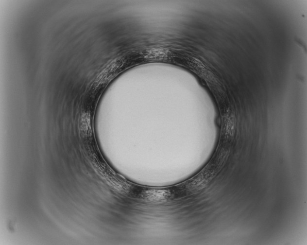 X0000100320711200806261226