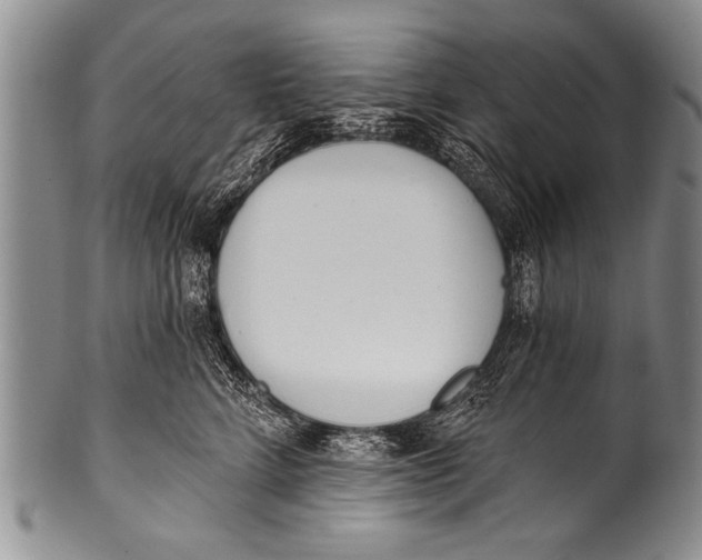 X0000100320712200806261226