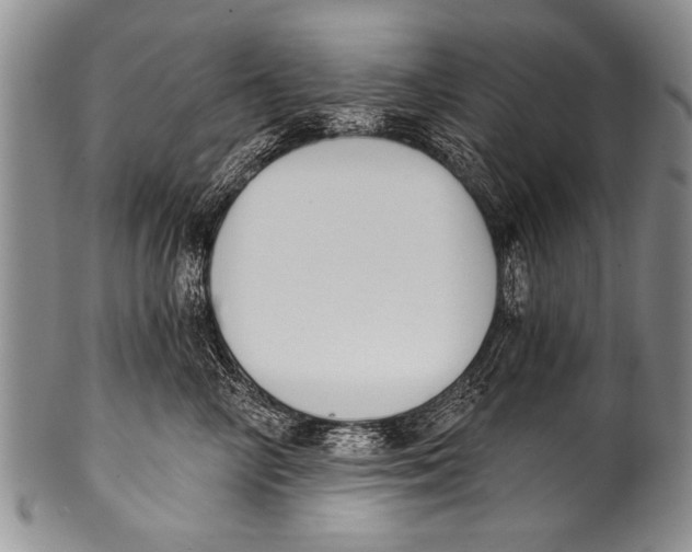 X0000100320714200806261226