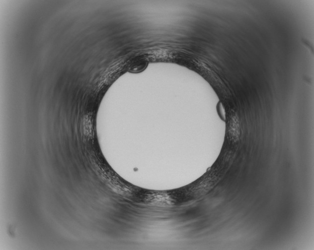 X0000100320715200806261226