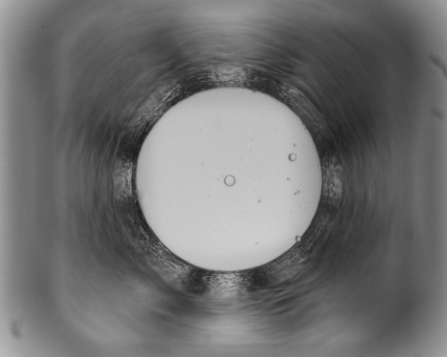 X0000100320717200806261226